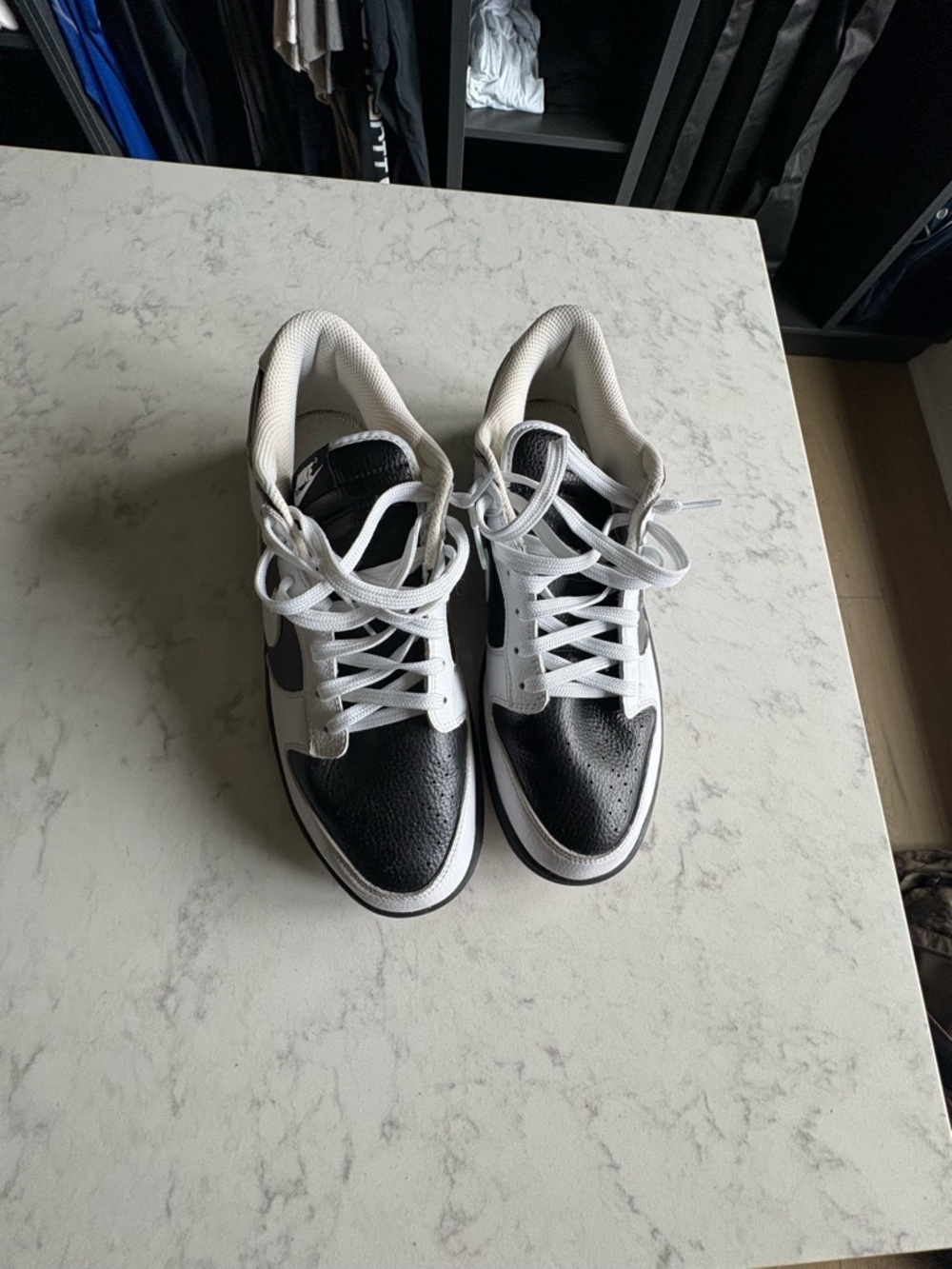 Nike Dunks Reverse Panda